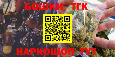 индика Ирбит