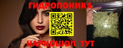 индика Ирбит