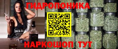 индика Ирбит