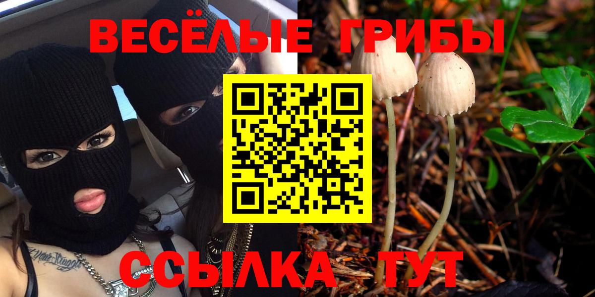 Галлюциногенные грибы Magic Shrooms Наро-Фоминск